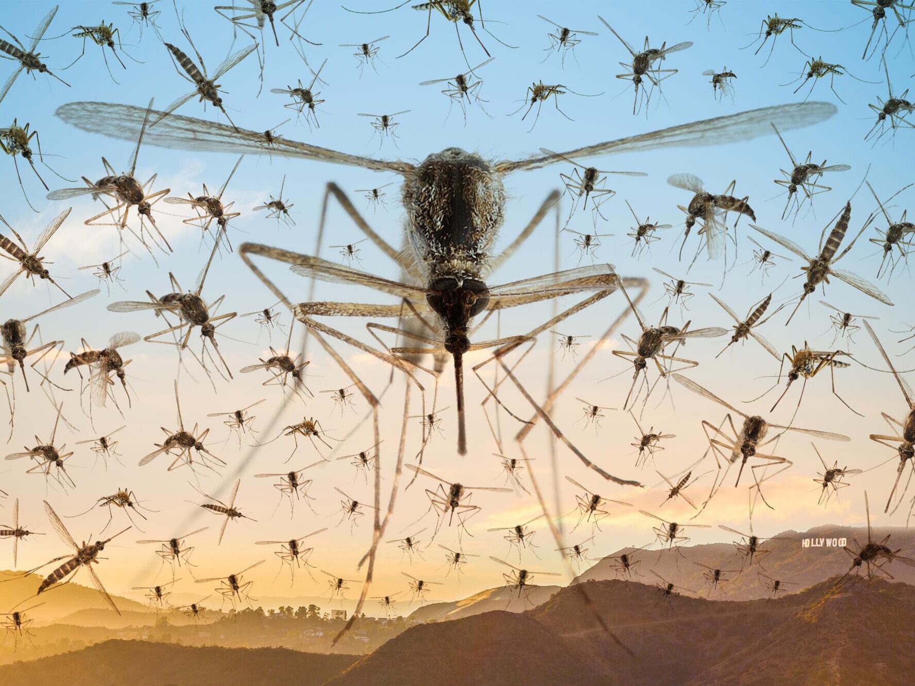 Bug Bloc West Island pest control