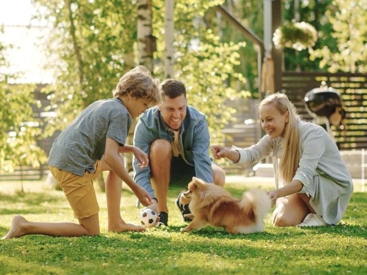 Bug Bloc West Island pest control