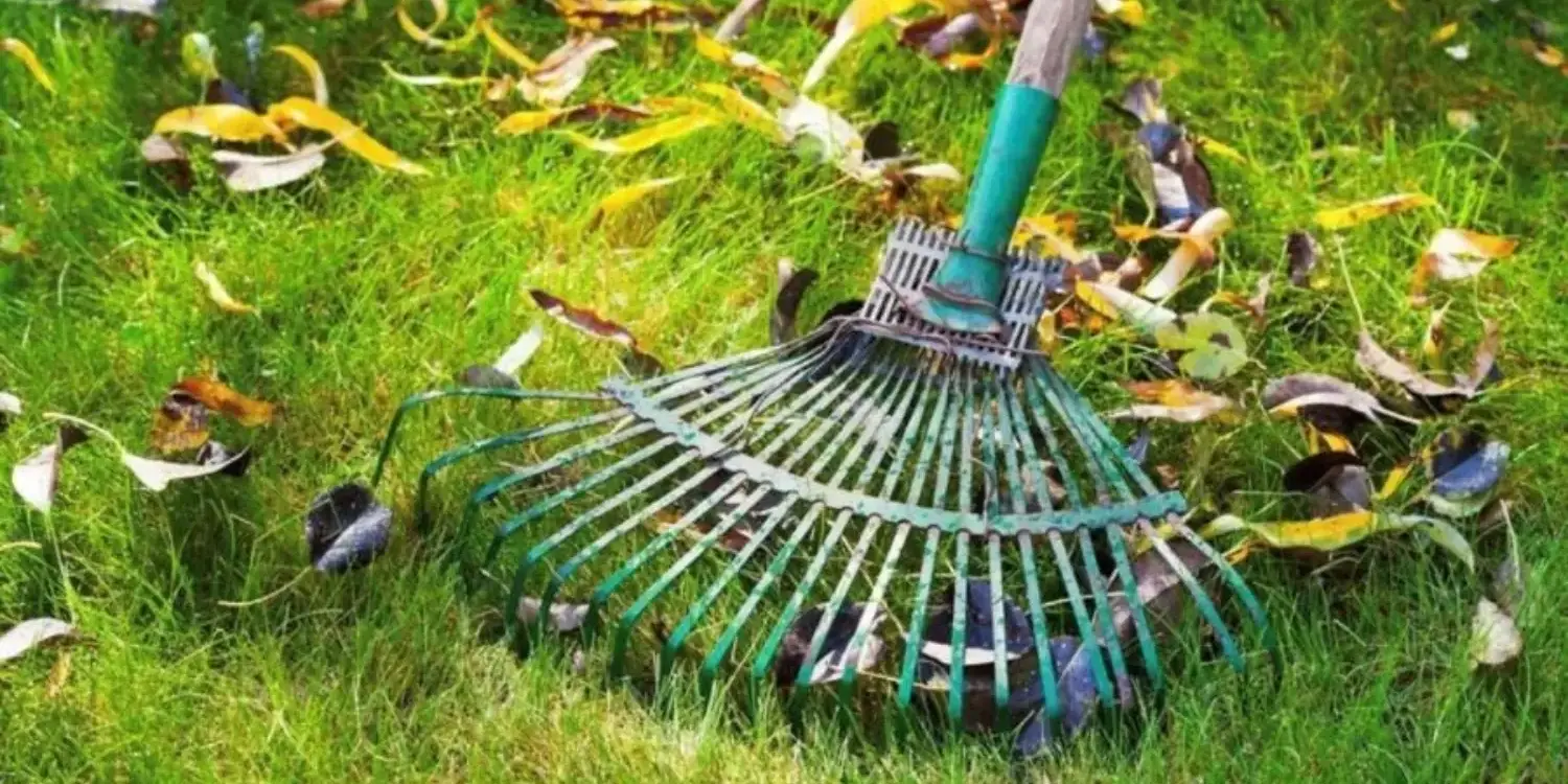 West Island Pest Control home owners guide